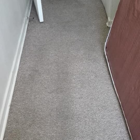 limpieza y desinfeccion de alfombras en santiago